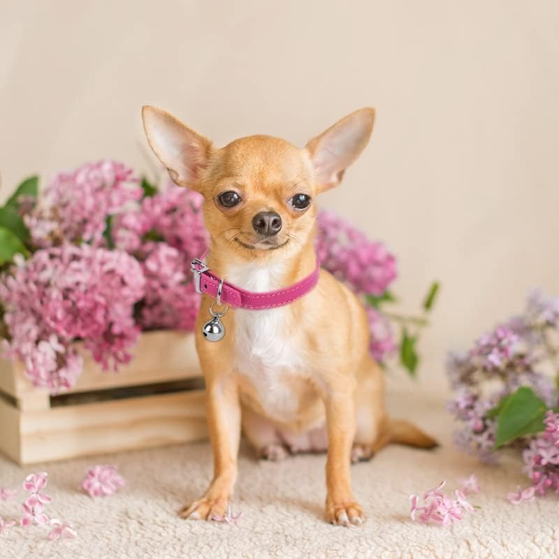 Dog Collars for Small Dogs, PU Leather Puppy Collar with Bells Khaki, XS - color: Khaki, size: XS (8-10.5 inches)