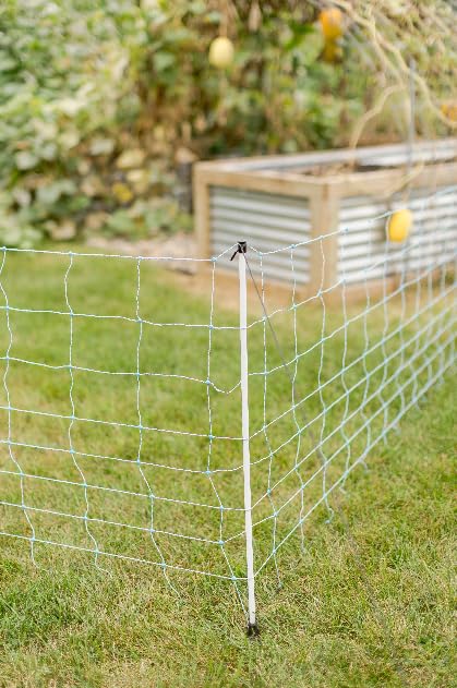 All-Purpose Electric Netting (42" x 82') for Sheep, Goats, Gardens, Dogs, Beehives and More, in Backyards, on Homesteads, or on Farms and Ranches - size: 42" x 82'