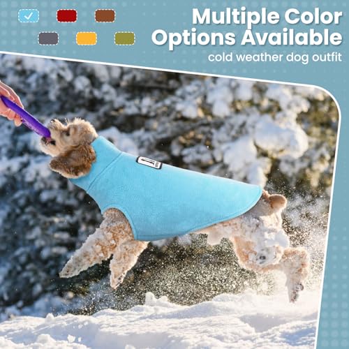 DENTRUN Reversible Dog Winter Coat, Windproof Polar Fleece Reflective Vest | Hook & loop easy on/off, sleeveless, XS-XXXL for all breeds, warm reversible vest. - color: Blue, size: X-Small