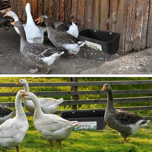 3 Pack 6 Quart Chicken Duck Feeder Trough, Black - color: black