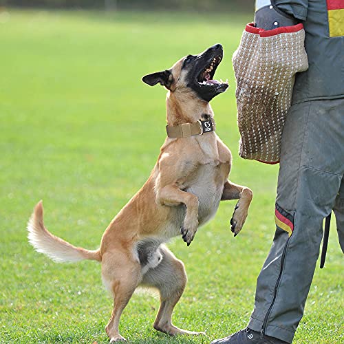 TSPRO Heavy Duty Thick Dog Collar with Metal Buckle for Medium Dogs - color: Basic Khaki, size: M – Fits Neck 15.8"-18.9"