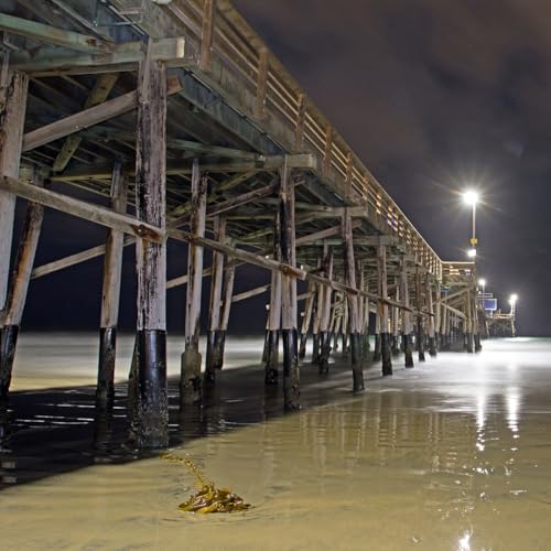 – Pile Wrap for Docks & Piers - 48 inch (150 feet)