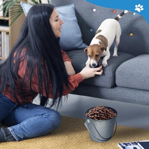 Heavy Stainless Steel Round Bucket, 4 Quart | Durable Food & Water Pail for Dogs, Cats, Kennels, Cages and Critter Crates | Multi-Purpose Bucket - size: 4 quart