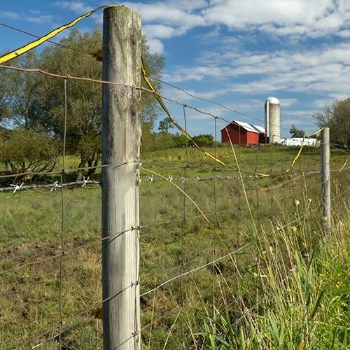 Electric Fence Energizer Plus 2 Mile/ 8 Acres Plug,Electric Fence Charger PE2,Livestock Fence Chargers for Containing Pets and Keeping Out Small Nuisance Animals 0.10 Joule - color: 0.10 Joule