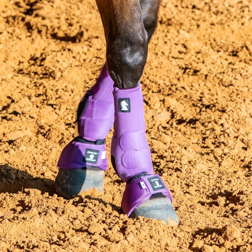 Classic Equine Dyno Turn Bell Boots - color: Violet Purple, size: Large