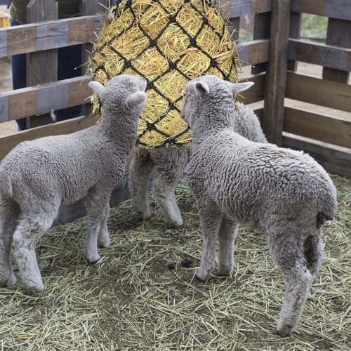 2PCS Hay Net for Horses - Ultra Slow Feed Hay Net with 2 Pairs Gloves, 2.36"x2.36" Holes 40” Heavy-Duty Horse Slow Feed Hay Nets for Stall, Trailer, Pasture - Strong & Durable Hanging Feeders