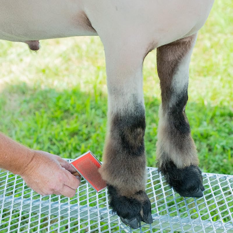 Premier 1 Supplies Howard Hand Card for Wool & Livestock (#4 - Head/Legs) - style: #4 - Head/Legs