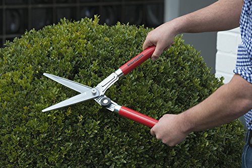 BERGER Topiary Shear 2510 with Beech Wood Handle Garden Shear with self-Sharpening Blades, Length 45 cm - size: 46.5x14.5x5 cm