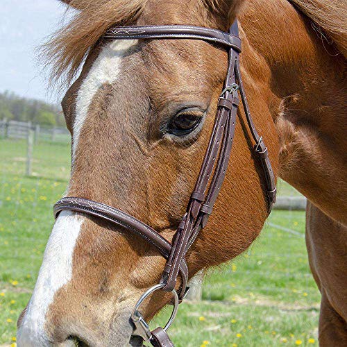 Everyday Raised Fancy Stitched Leather English Schooling Bridle with Laced Reins St. Steel Hardware with 1 Year Warranty. - color: Chestnut, size: Warmblood