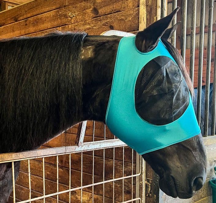 Stretchable Fly Mask - color: Turquoise, size: Mini
