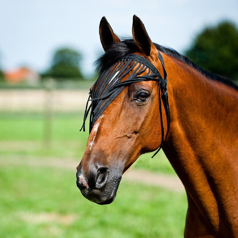 Horze Simple Lightweight Insect and Fly Veil for Sensitive Horses - No Halter Needed Black S - size: Small