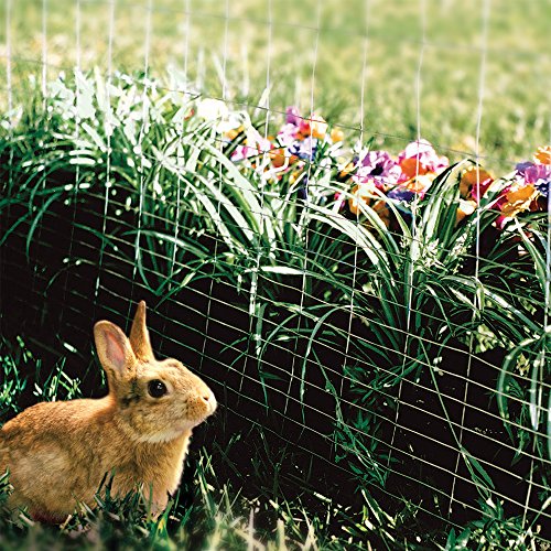 YARDGARD 308301B 36" by 50 Foot Galvanized Welded Wire Fence - size: 36 in . x 50 ft. x 14 ga.