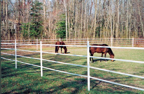 Powerfields H-3 Safe-Fence, Electric Fence Poly Tape, 825-Feet Roll, 1.5-Inch Wide, White - style: 825-Feet
