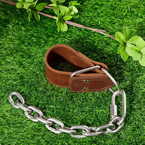 Horse Hobbles Kicking Chain, Leather Single Leg Hobble Heavy Duty Anti Kick Design, Stainless Steel Chain for Secure Horse Training & Grazing, for Stallions, Geldings, Mares