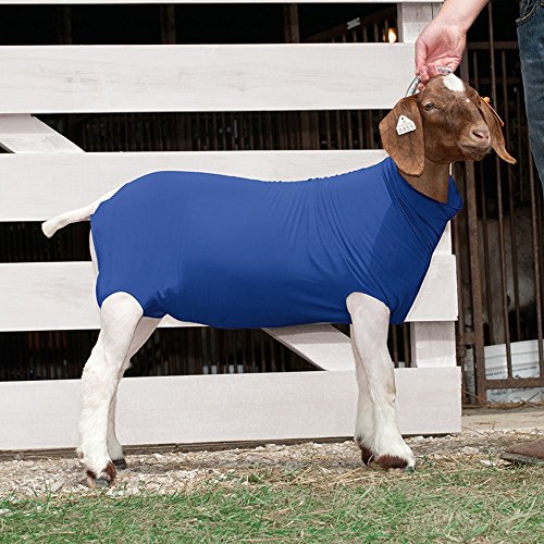 Weaver Leather Spandex Goat Tube - color: Blue, size: Small