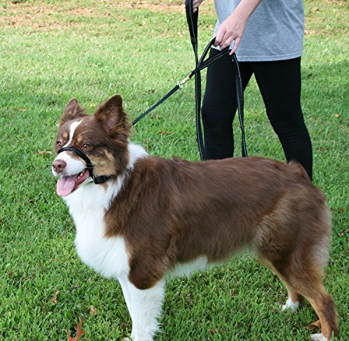 BARKELSS Gentle Dog Head Collar, Adjustable Padded Dog Halter | Dog Halter to Stop Pulling, Soft and Safety Control on Walks, Includes 1 Leash, Training Guide for Breeds - size: S