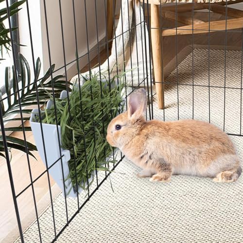 Hypeety Rabbit Hay Feeder Automatic Hay Rack for Guinea Pigs, Blue - color: Blue, size: 1pc