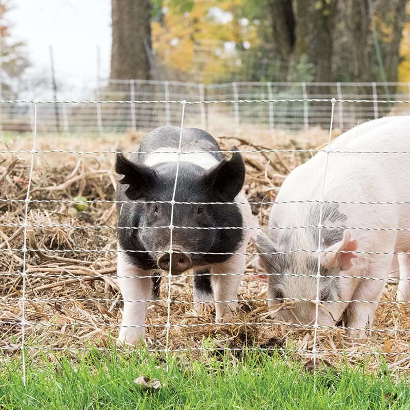 Premier 1 Feral Hog Electric Net Fence | White/Black, 24"H x 50'L