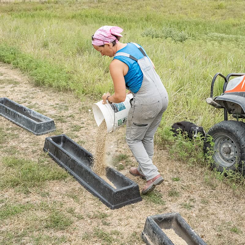 Premier 1 PortaTrough™ 5 – Portable Feed & Water Trough – 61" L x 12.5" W | Portable design. For grain, salt, mineral or water. For sheep, goats, ducks, geese & poultry. 61"L x 12.5"W x 6.25"D.