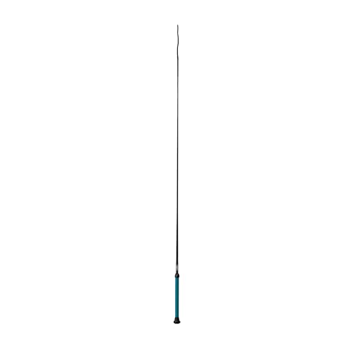 Weaver Livestock Basic Pig Show Whip, Hog Livestock Whip with Braided Nylon Handle, Leather Popper, Lightweight Braided Shaft - color: 36" - Teal