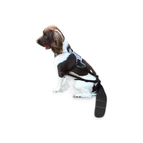 Tail Guard & Harness Set - Veterinary Dog Tail Protector & Injury Wrap, Size Small - size: S