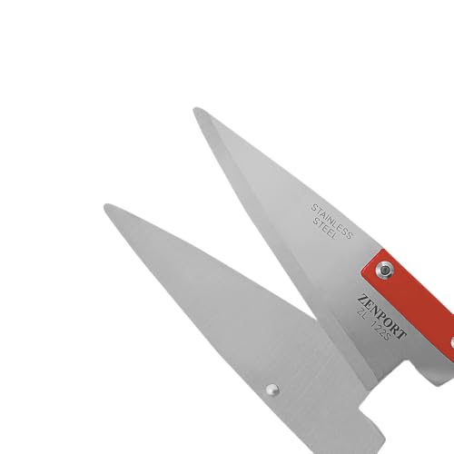 Onion Shears - size: 5.5-Inch
