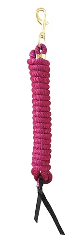 Nylon Training Lead Rope Leather Ends 14' w/Brass Swivel Snap (Dark Pink) - color: Dark Pink