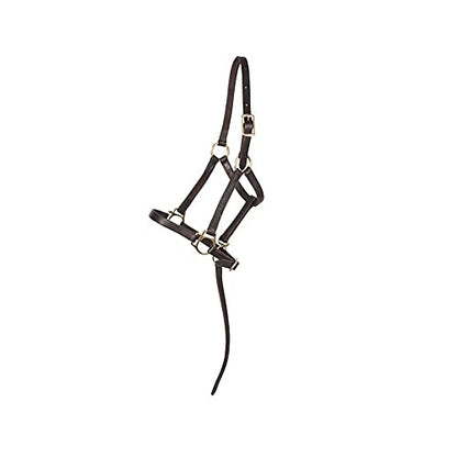 Schneiders Premier Leather Foal Halter for Horses - Weanling | Premium Grade A Leather | Designed for Growing Foals | Adjustable Curb for Customized Fit | Includes Grab Strap | Brass Plated Hardware