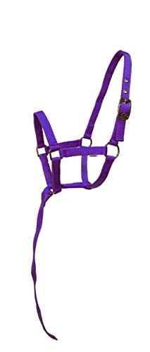 Nylon Foal Halter with Detachable 13" Catch - color: Purple