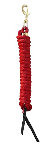 Nylon Training Lead Rope Leather Ends 14' w/Brass Swivel Snap (Red) - color: Red