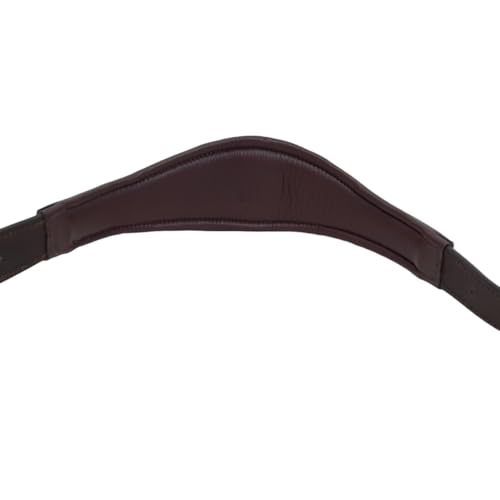 All Sides Padded Curved Design Horse Leather Halter with Brass Name Plate - color: Black, size: Oversize/Warmblood