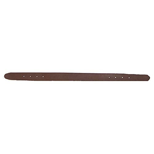 Intrepid International 1" Leather Replacement Crown - Horse, Brown - color: Brown, size: Average