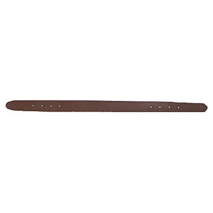 Intrepid International 1" Leather Replacement Crown - Horse, Brown - color: Brown, size: Average