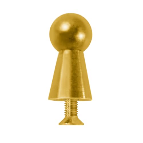 Myya DIY Belt Buckle Screws Hook Replacement for Repair Belts Handbag Accessories - color: Gold