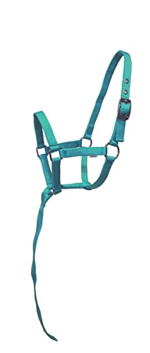 Nylon Foal Halter with Detachable 13" Catch - color: Turquoise