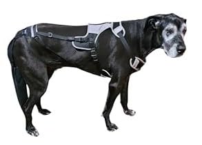 Tail Guard & Harness Set - Veterinary Dog Tail Protector & Injury Wrap, Size 3XL - size: 3XL