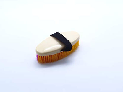 All Purpose Horse Grooming Body Brush - 2 Pack / 12 Pack - color: Pink/Blue - 2 Pack