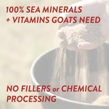 REDMOND Goat Mineral Supplement - A Premium sea Salt with Essential Trace Minerals and Vitamins (25 LB) - size: 25 LB