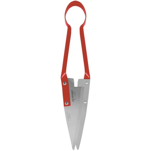 Onion Shears - size: 5.5-Inch