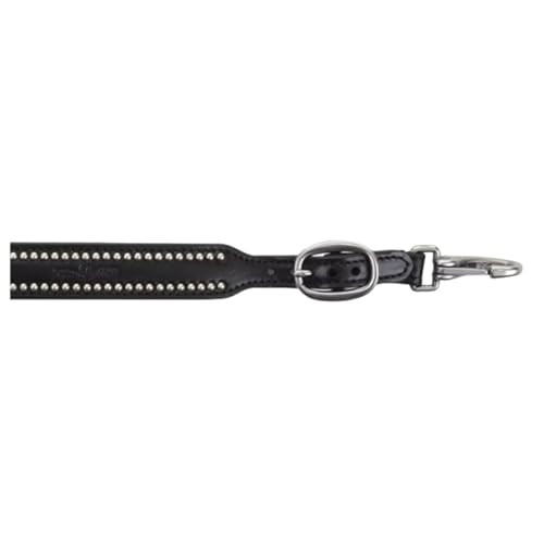 Circle Y Wither Strap with Silver Spot Accents - Equestrian Smooth Leather Both Sides Snaps Adustable Wither, 3/4" Width - Black - color: Black