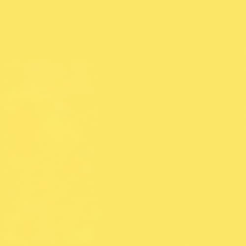 Rust-Oleum Professional 2X Inverted Marking Yellow Spray Paint | Utility Marking, Construction Layout, Survey Marking, High Visibility Color, 2X Distance Coverage, 15 oz - color: High Visibility Yellow, size: 2.5 Ounce (Pack of 6), style: 2X Distance