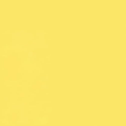 Rust-Oleum Professional 2X Inverted Marking Yellow Spray Paint | Utility Marking, Construction Layout, Survey Marking, High Visibility Color, 2X Distance Coverage, 15 oz - color: High Visibility Yellow, size: 2.5 Ounce (Pack of 6), style: 2X Distance