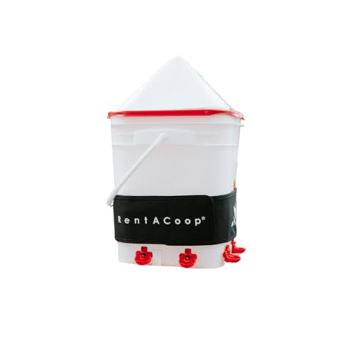 RentACoop LG Thermo Bucket Belt and 5 Gal Corner Bucket Waterer