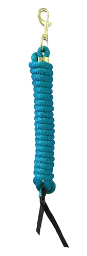 Nylon Training Lead Rope Leather Ends 14' w/Swivel Snap (Aqua) - color: Aqua