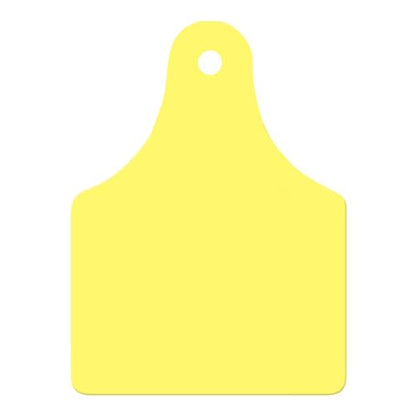 ALLFLEX USA GLF/GSMY 115451 Ear Tag, Blank, Yellow, Large