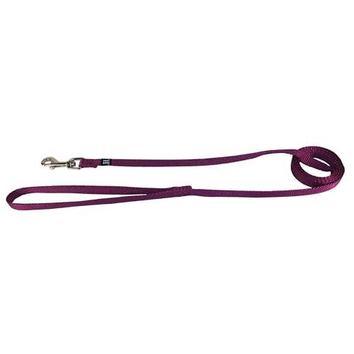 Hamilton 4 ft Nylon Dog Leash, Small/Medium 5/8" x 4', Wine - color: Wine, size: 5/8" x 4'