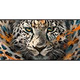 Leopard Print Car Windshield Sun Shade, White, Universal Fit, 59" L x 31.5" W, Blocks UV Rays, Sun Visor Protector - color: Leopard