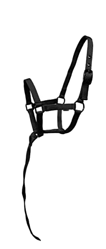 Nylon Foal Halter with Detachable 13" Catch - color: Black