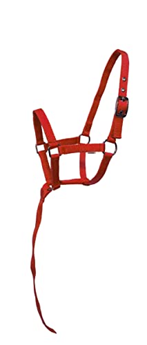 Nylon Foal Halter with Detachable 13" Catch - color: Red