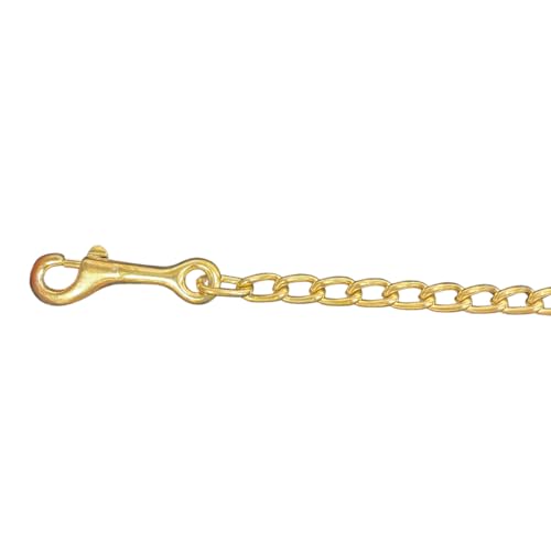 Intrepid International Brass Plated Lead Chain - 20 Inch - Strong and Reliable Equestrian Training Tool